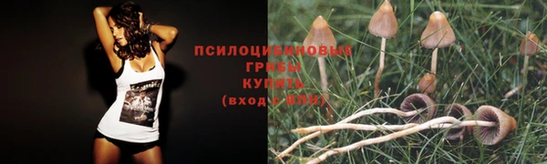 крисы Абдулино