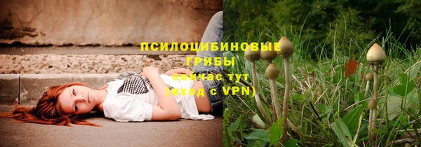 ГАЛЛЮЦИНОГЕННЫЕ ГРИБЫ Абаза