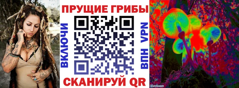 Псилоцибиновые грибы Magic Shrooms  Темрюк 