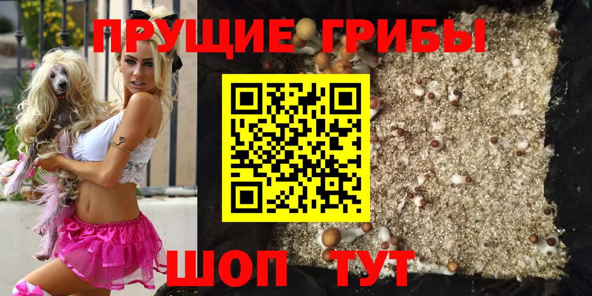 Псилоцибиновые грибы MAGIC MUSHROOMS Темрюк