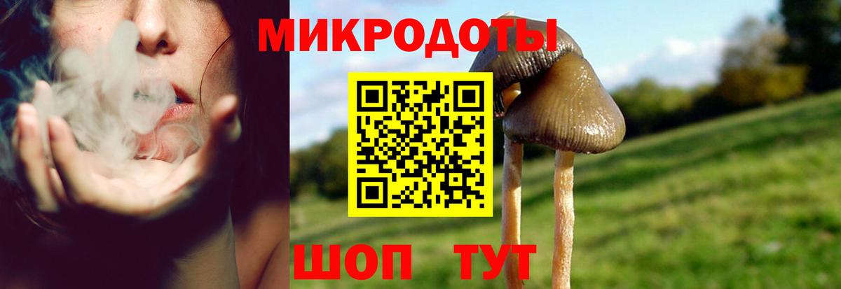 Псилоцибиновые грибы прущие грибы  Вход с VPN  как найти наркотики  Темрюк 